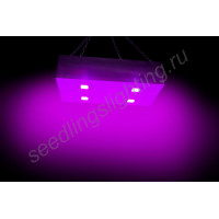 Фитосветильник с линзами для гроубоксов и небольших тепличек "Ригель" 80Вт Фитосветильник с линзами для гроубоксов и небольших тепличек "Ригель" 80Вт