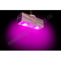 Лампа для выращивания 100Вт с цоколем Е14/Е27/Е40/GU10, с активным охлаждением светодиодов "Денебола" (аналог китайских ламп мощностью 200-260 Вт)